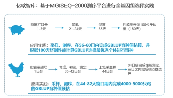 深?度解讀《2022年中國農(nóng)業(yè)分子育種行業(yè)發(fā)展白皮書》，分子育種未來可期