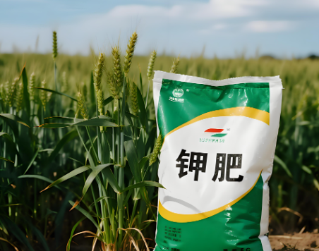 糧食安全的命脈：解析中美鉀鹽戰略，鉀資源成為國家戰略安全的重要支點