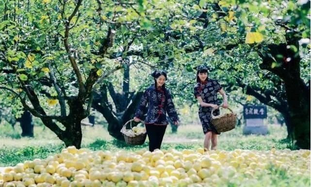 案例解讀！中國區(qū)塊鏈第一村：價值裂變未來可期