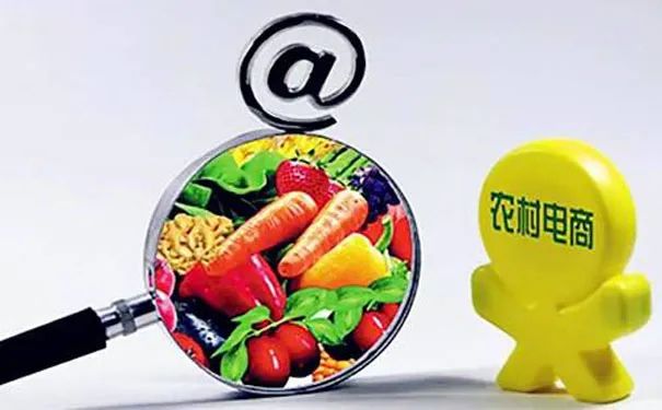 【農(nóng)村電商】林海、胡雅淇：農(nóng)村電商助力打造縣域農(nóng)業(yè)全產(chǎn)業(yè)鏈