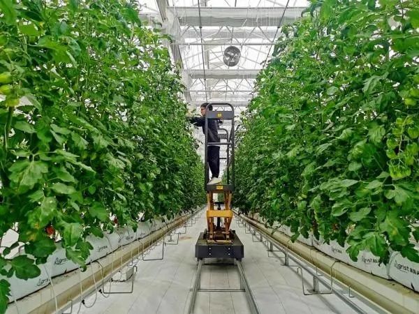 三農日報|我國支持電商示范基地向農村延伸；中國農業很難實現跨越式