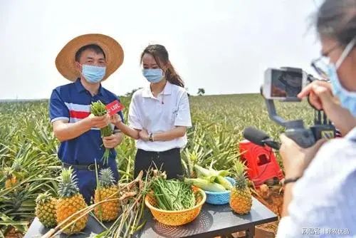 【創(chuàng)業(yè)案例】農(nóng)戶雞蛋在抖音電商快速起步 懂這幾條經(jīng)驗(yàn)就夠了