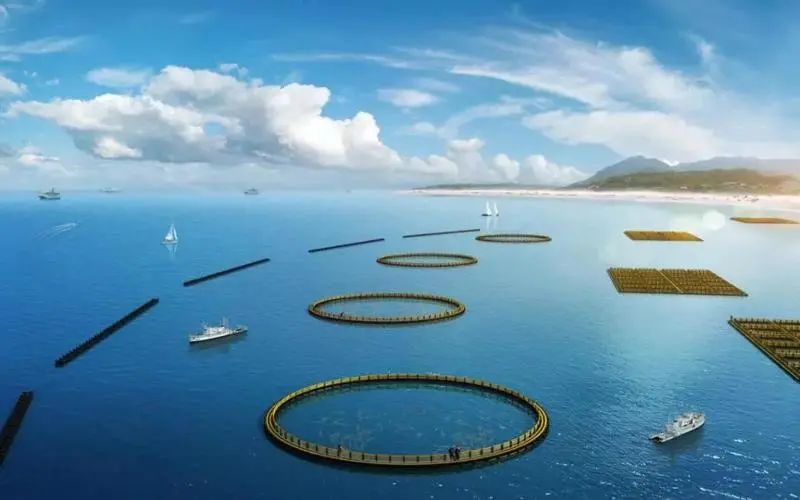 【政策解讀】農(nóng)業(yè)農(nóng)村部印發(fā)加強(qiáng)水生生物資源養(yǎng)護(hù)指導(dǎo)意見(jiàn)