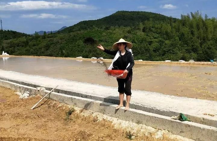 她放棄百萬(wàn)年薪，租了400畝地，準(zhǔn)備做高端農(nóng)產(chǎn)品！