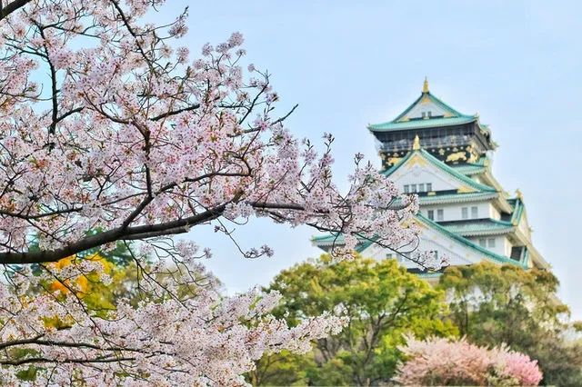 【世界農業案例】日本農業的“地產地銷”案例解讀
