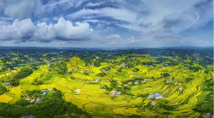 政策青睞！全國農(nóng)業(yè)綠色發(fā)展案例研究