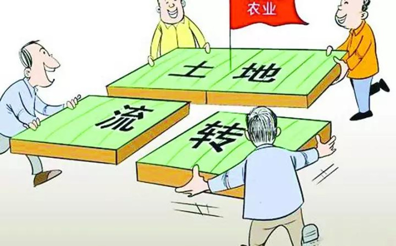 創(chuàng)業(yè)小黑板|土地流轉(zhuǎn)、土地托管、土地入股，你不得不知！
