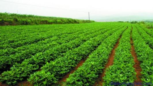 重磅！新農(nóng)民合作社法公布，有6大重點變化，2項優(yōu)惠政策很給力
