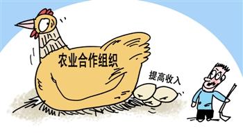 搞農民合作社，該如何進行申辦？流程是怎樣的？（這里給你答案）