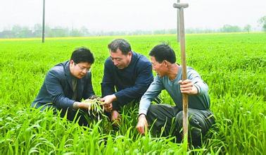 農(nóng)業(yè)種植合作社、農(nóng)村合作社補貼政策有哪些