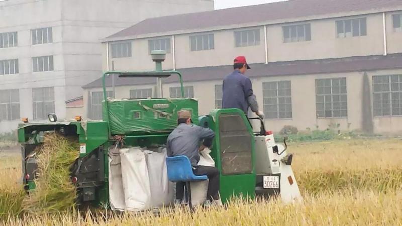 無法容忍！80%以上合作社淪為空殼，2019國家必將重拳打擊
