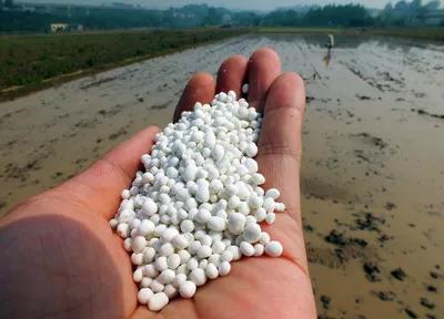 【行業觀察】央視：人均每年“吃化肥”40斤！農業種植方式面臨大洗牌