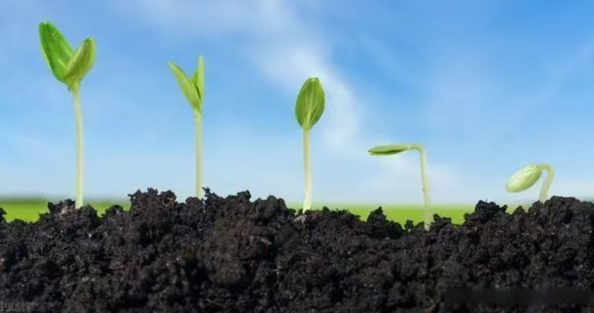 【有機肥行業】一文搞懂生物有機肥