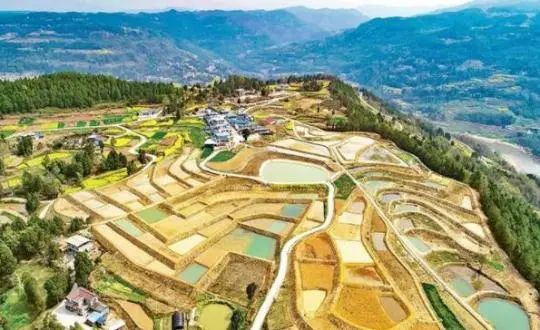 《中國鄉村振興綜合調查研究報告2021》發布，數字化蔚然成風！