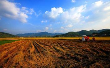 關于土地確權的18問，它對農民有何益處？