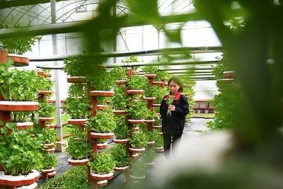 三農日報|我國將加快農業人工智能研發應用；鄉村旅游成農村融合發展樣板