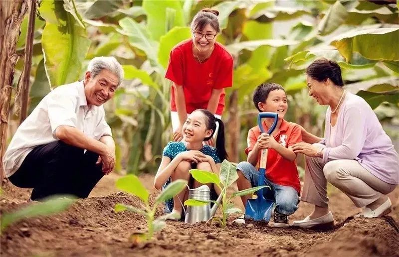 【未來農(nóng)業(yè)】中國康養(yǎng)農(nóng)業(yè)大爆發(fā)，與日本干法有何不同？