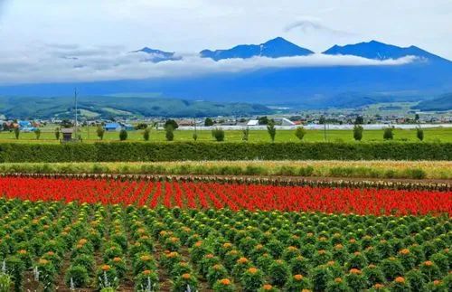 【世界農(nóng)業(yè)案例】美國Fresno農(nóng)業(yè)旅游區(qū)，在體驗中為農(nóng)業(yè)增值