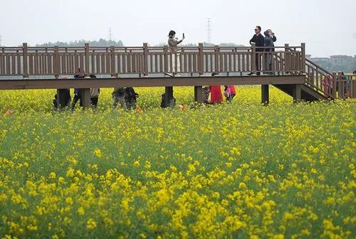 【新農業】休閑農莊+康養，農業經營新方向