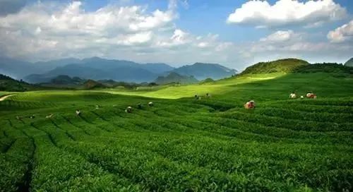 特色產業、鄉村旅游、農產品精深加工、融合類主體、創業主體將獲得政策支持