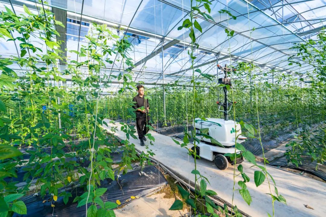 【鄉村振興案例】未來農場長什么樣？10個案例告訴你