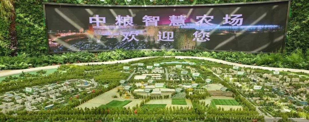 【商業案例】“中糧智慧農場”世界級都市農場，如何進行農業+科技+休閑？