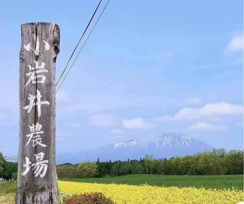 【世界農業案例】日本農場如何玩轉三產融合模式