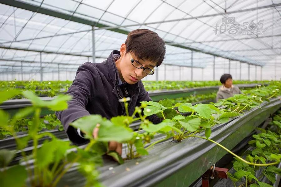 三農日報|大豆產業萎縮原因找到！單產過低；報告：供應鏈將成為餐飲行業下半場的核心