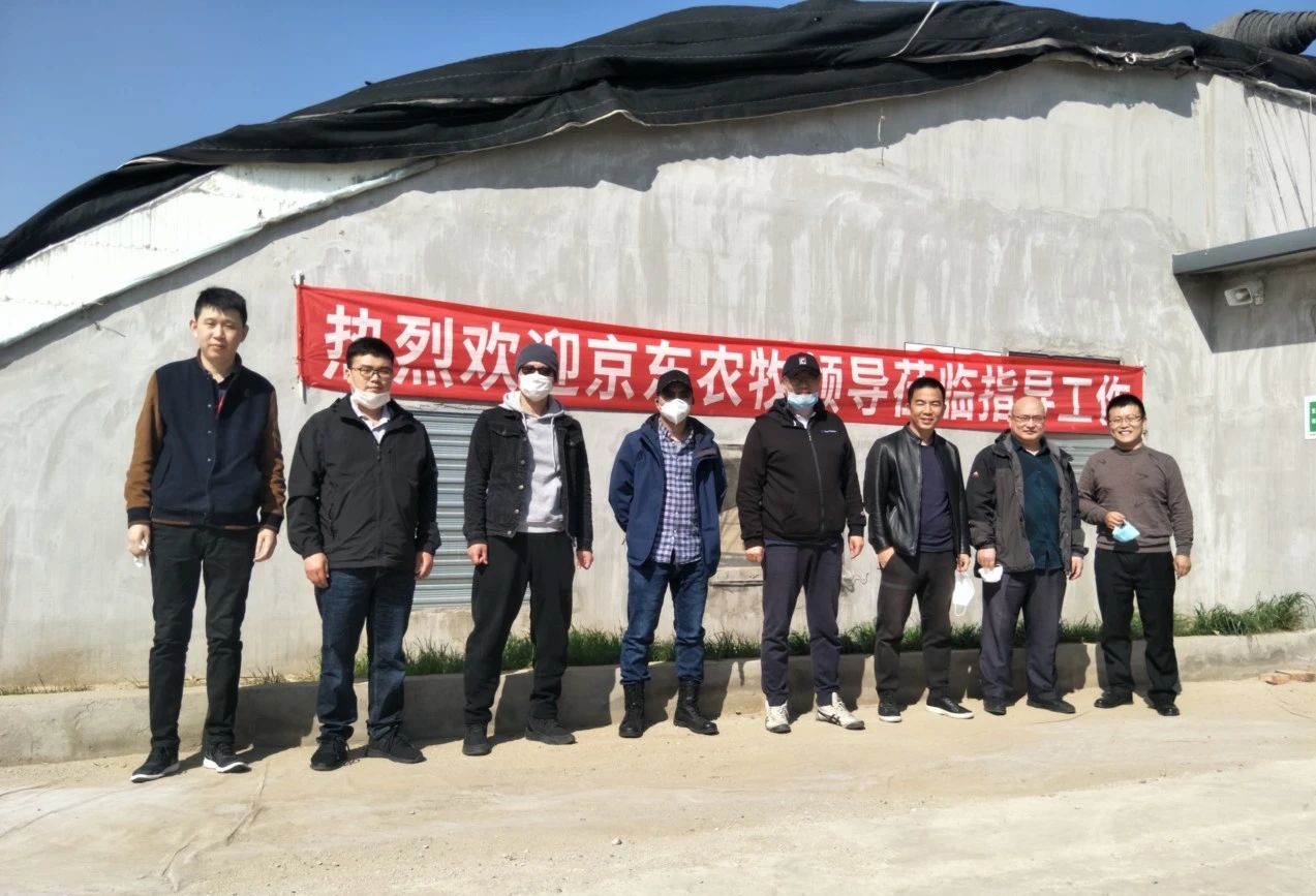 農政齊民近日迎來京東農牧領導，雙方將以魚菜共生為突破口，推動產地生鮮供應鏈重塑！