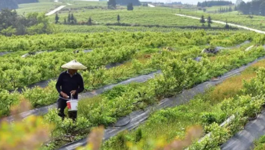 【ppt資料】解讀大宗供應鏈商業模式，廈門象嶼、建發股份、廈門國貿、浙商中拓