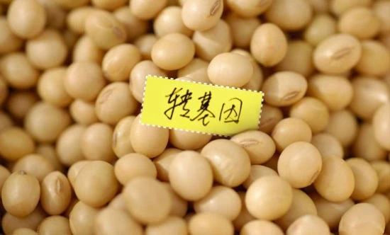 政策|中國將改進轉基因產品審批監管流程（附相關協議“農業生物技術”部分）