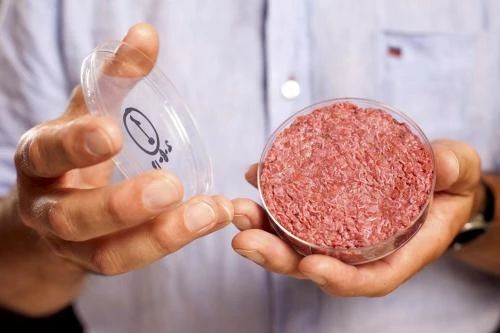 中國人造肉市場：冰山與火海！