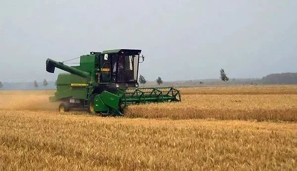 三農日報|券商：建議關注轉基因玉米產業鏈；數據：食品巨頭營收迎來利好