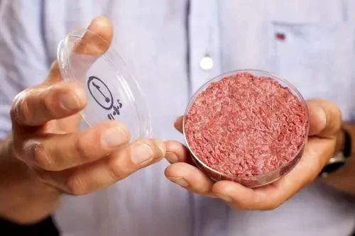 雙匯發展愛上“人造肉”？