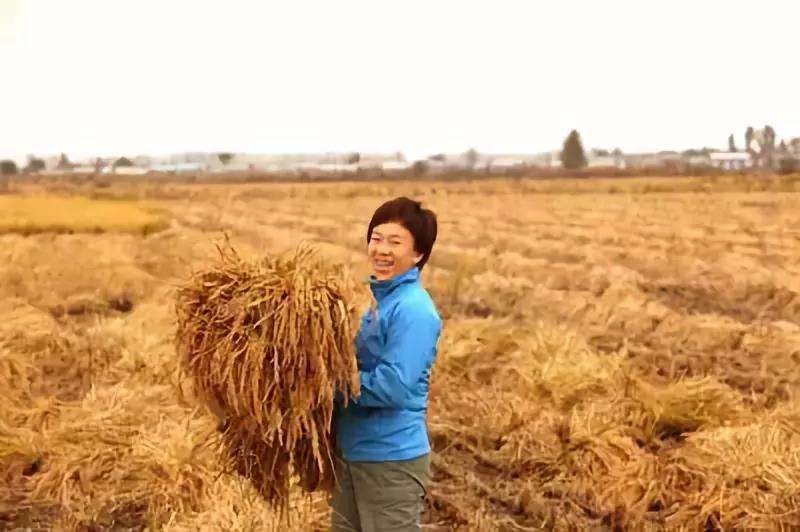 創業英雄|前阿里員工，創辦農產品眾籌平臺，希望把“不能“變成可能！