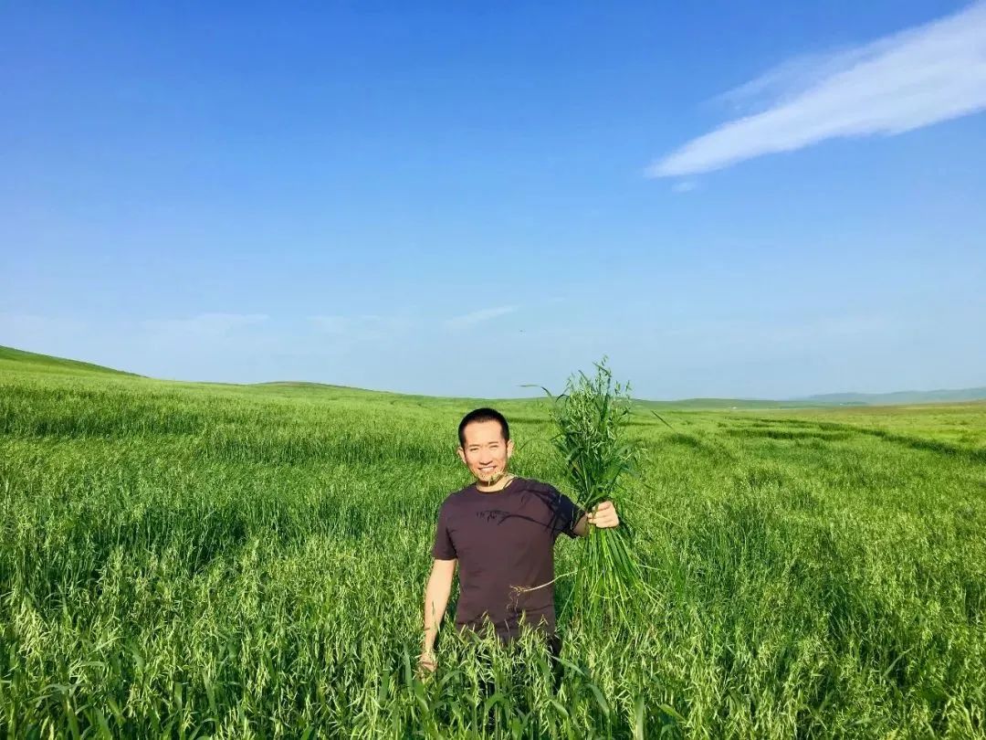 【案例剖析】世界500強(qiáng)經(jīng)理辭職種燕麥：7年燒掉3個(gè)億，只為種出一碗健康早餐