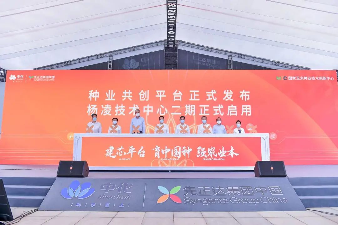 重磅：種業(yè)共創(chuàng)平臺正式發(fā)布，創(chuàng)新模式助力種業(yè)翻身