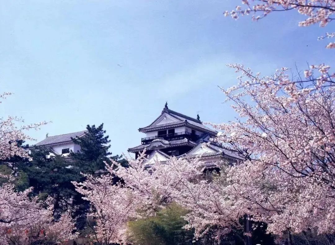 日本農業(yè)如何打造目的地品牌（附案例詳解）