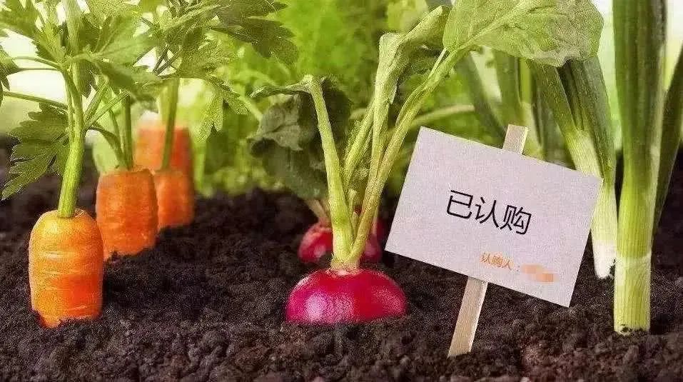 【模式研究】農業投資創業要知道的9個營銷模式