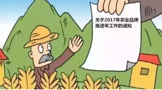 國家發力推進農產品品牌，農民如何抓住這次機遇？