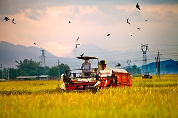 農(nóng)業(yè)十大風(fēng)口：互聯(lián)網(wǎng)農(nóng)業(yè)、光伏農(nóng)業(yè)、第六產(chǎn)業(yè)....都是千億級(jí)別