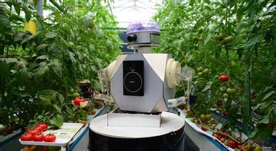 發展智慧農業，就要解決面臨的所有問題！