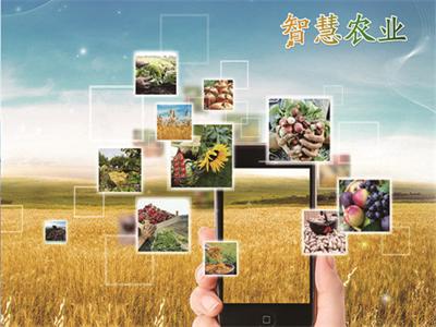 智慧農業未來發展前景如何？發展智慧農業有啥意義？
