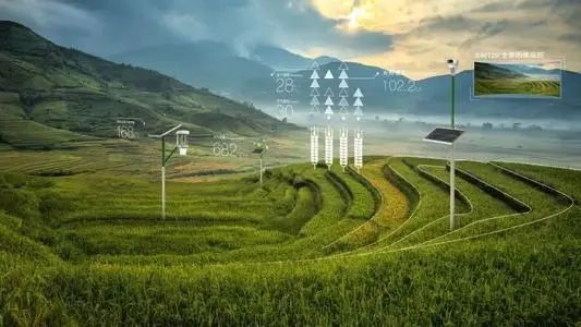 【數(shù)字農(nóng)業(yè)】周延禮：未來(lái)數(shù)字農(nóng)業(yè)要大力發(fā)展國(guó)產(chǎn)數(shù)據(jù)模型