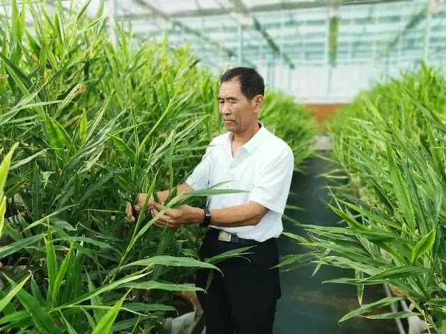 三農日報|農業農村部：加大農作物、畜禽良種攻關；90%有機農場處于虧損狀態
