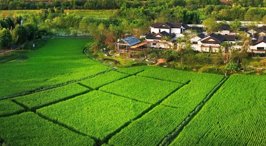 【案例剖析】有機(jī)農(nóng)業(yè)-多利農(nóng)莊有哪些值得我們借鑒的地方？