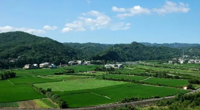 【有機(jī)農(nóng)業(yè)】臺(tái)灣有機(jī)農(nóng)業(yè)的發(fā)展：從農(nóng)藥島到生態(tài)島