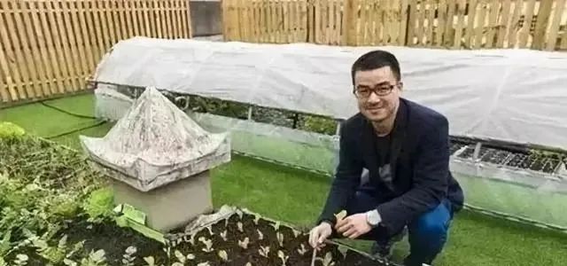 【案例】90后山東農民1.2萬起步創業，如今靠直播種菜年入70萬