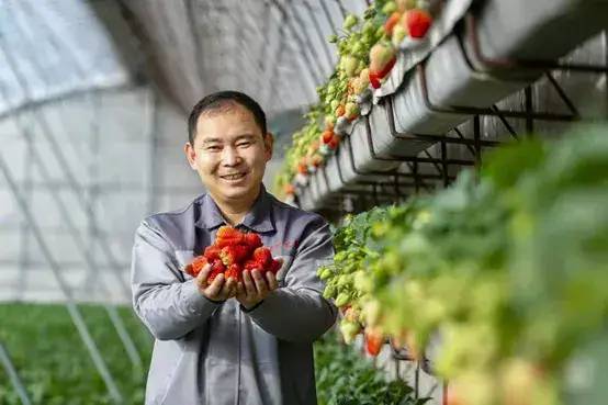【創業人物】新農人馬廷東：為草莓夢想而奮斗