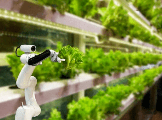 元宇宙和GIS帶給農業的變化（附10+應用場景）